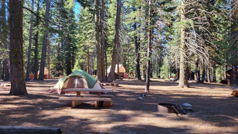 The Must-Haves for Camping