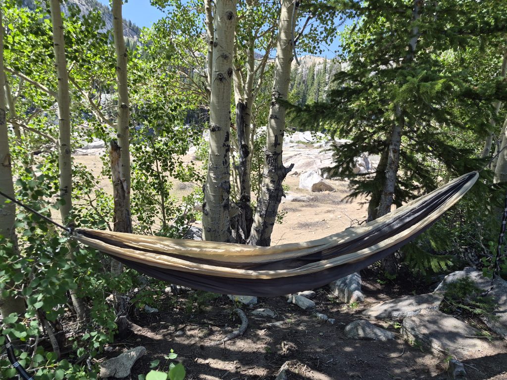 hammock hanging between two aspen trees